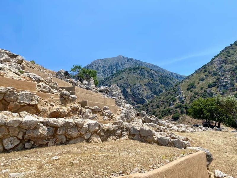 Crete: Kavousi Canyon Guided Hike & Beach Swim - The ancient olive tree of Kavousi: why this stop feels special