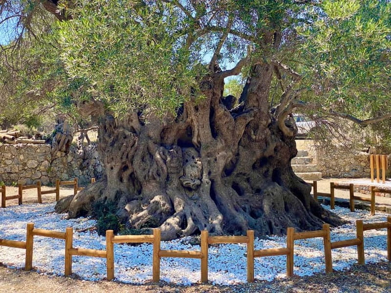 Crete: Kavousi Canyon Guided Hike & Beach Swim - Tholos Beach swim: sandy, refreshing, and actually timed well