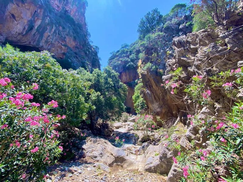Crete: Kavousi Canyon Guided Hike & Beach Swim - Who this tour is best for (and who should skip it)