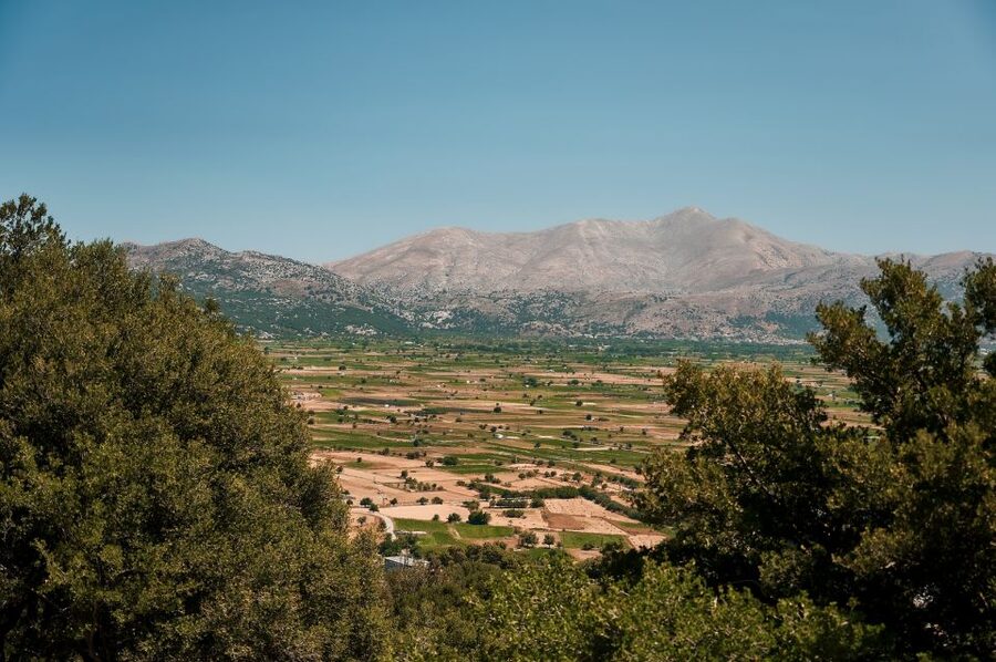 Crete: Knossos Palace and Lassithi Plateau Day Tour - Tzermiado break time: where you refuel before Knossos