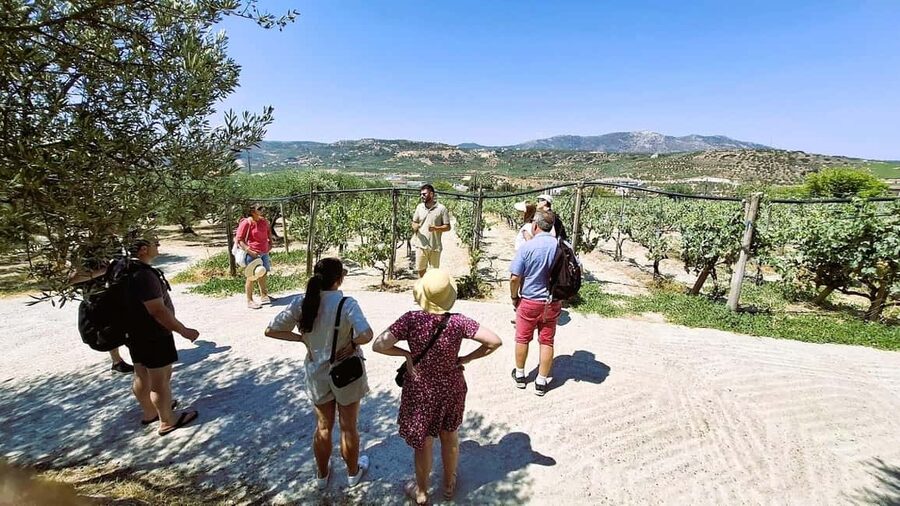 Crete: Knossos Palace, Winery & Olive Oil Tour with Lunch - At Knossos Palace: Minotaur myths, throne-room drama, and real stones
