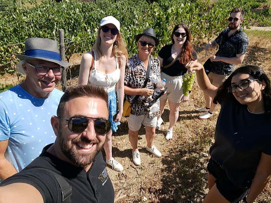 Crete: Knossos Palace, Winery & Olive Oil Tour with Lunch - Winery stop: tasting Vilana and Kotsifali with a view you can feel