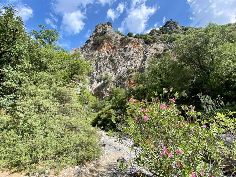 Crete: Kritsa Canyon Guided Hiking Tour - Who this tour suits best—and who should skip it