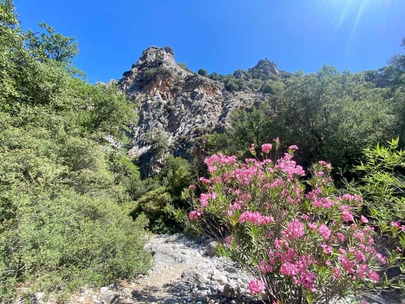 Crete: Kritsa Canyon Guided Hiking Tour - The 4-hour Kritsa Canyon hike: pacing, footing, and short scrambles