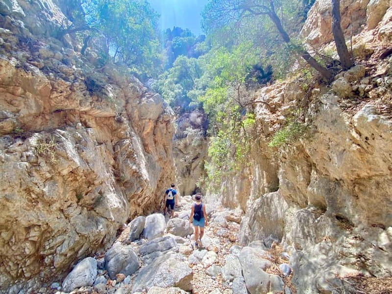 Crete: Kritsa Canyon Guided Hiking Tour - The guide can make or break the day