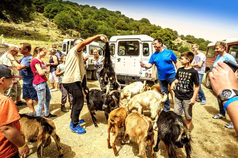 Crete: Land Rover Safari on Minoan Route - What the Land Rover Safari Gives You (and Why It’s Worth It)