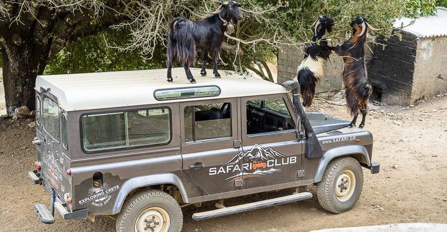 Crete: Land Rover Safari on Minoan Route - Pickup, Timing, and the Realistic Pace of the Day