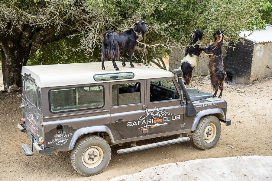 Crete: Land Rover Safari on Minoan Route - Kastamonitsa Foothills and the Raki Break
