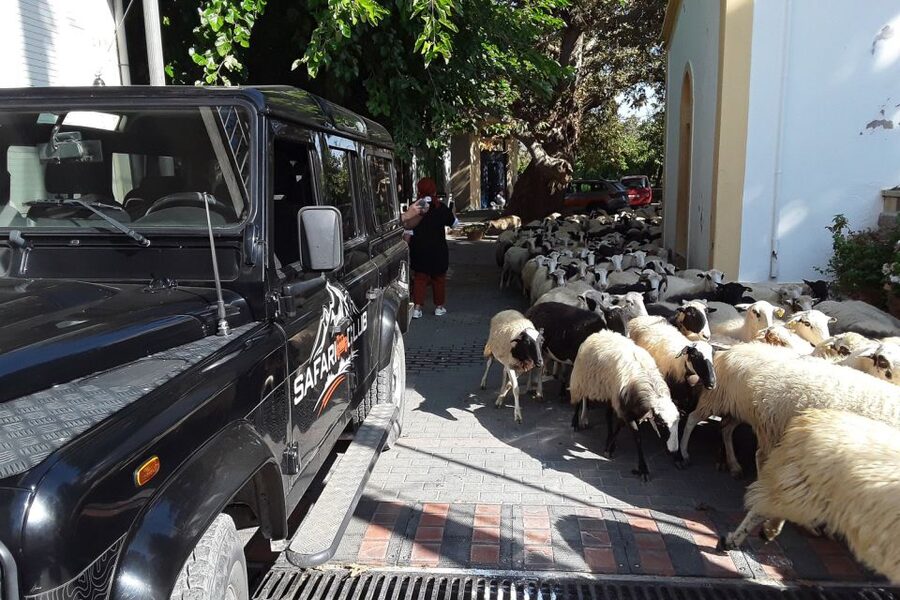 Crete: Land Rover Safari on Minoan Route - The Taverna Lunch: Traditional Food with Unlimited Wine
