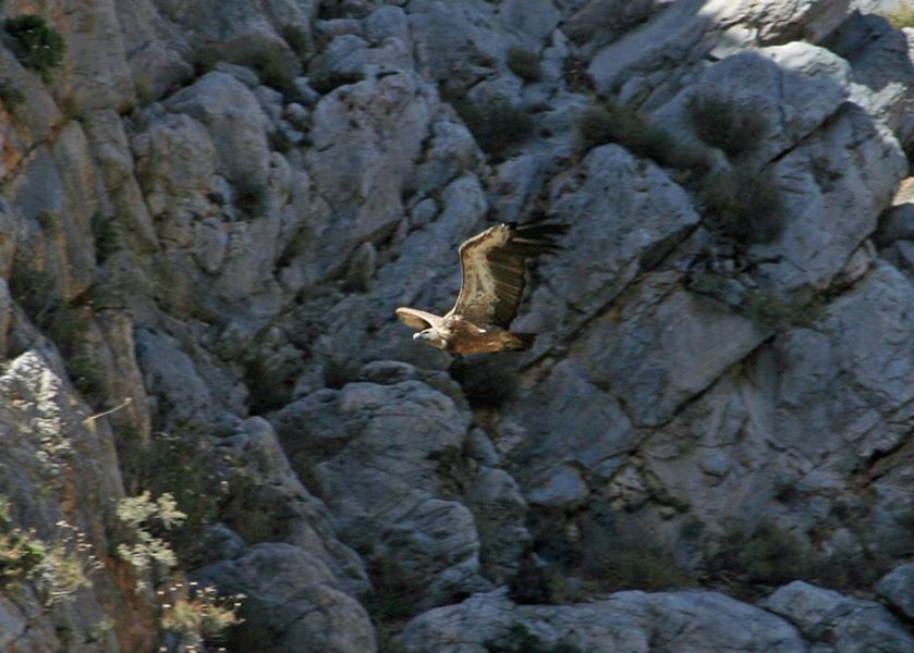 Crete: Land Rover Safari Through Katharo Plateau - Pickup, Mirabello Bay, and a Long Day Done Right