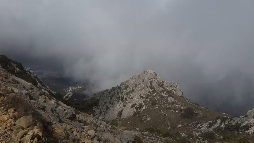 Crete: Land Rover Safari Through Katharo Plateau - Up to 1,500 Meters: The Forest Stretch and Wild Nature Stops