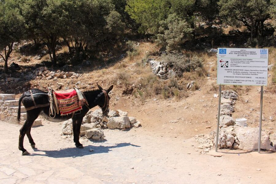 Crete: Land Rover Safari Through the Plateaus - Why This Tour Feels Different Than Just Another Bus Ride