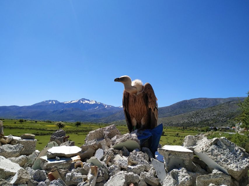 Crete: Lasithi Plateau and Cave of Zeus Off-Road Safari Tour - Lasithi Plateau and Psychro Cave: The Zeus Part, With Real Legs Required