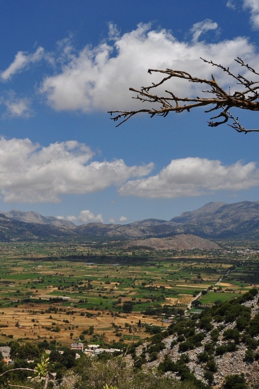 Crete: Lasithi Plateau and Knossos Palace Day Tour - How Hard Is This 10-Hour Day, Really?