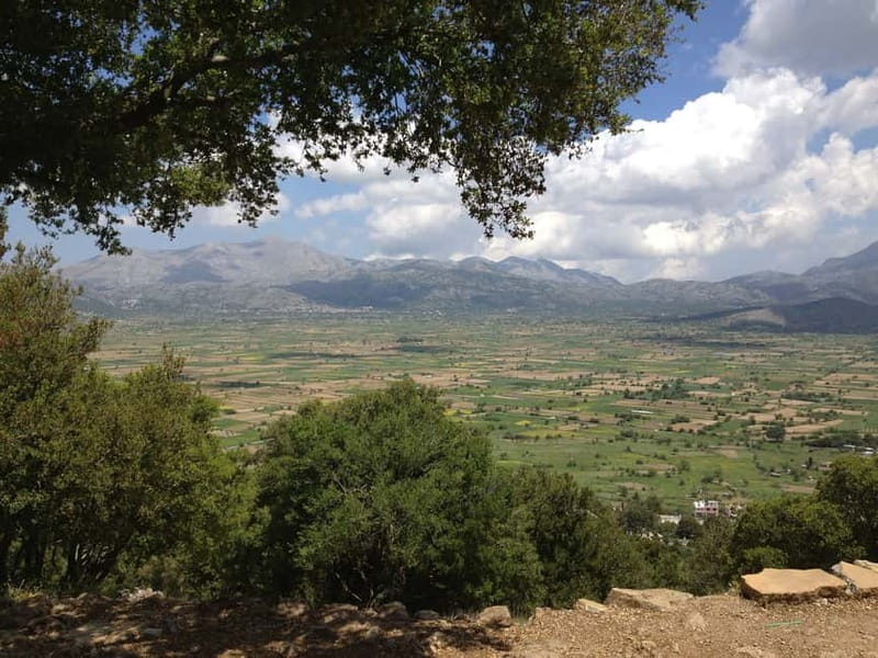 Crete: Lasithi Plateau and Knossos Palace Day Tour - The Mountain-Road Start: Pickup, AC Comfort, and Realistic Timing