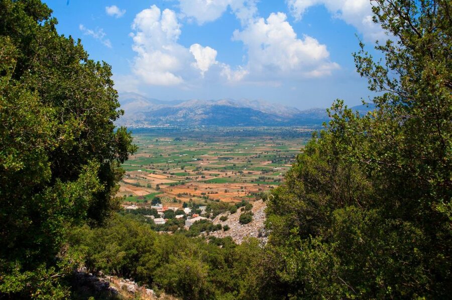 Crete: Lasithi Plateau & Knossos Palace Tour - Lasithi Plateau: windmills, Venetian ditches, and a high-plain myth vibe