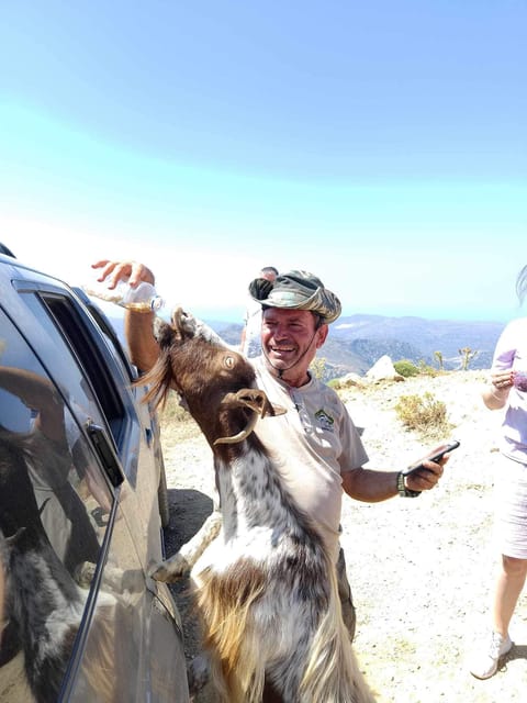 Crete: Lasithi Plateau Zeus Cave Guided Jeep Safari Tour - Zeus Cave expectations: tickets, closure dates, and the myth payoff
