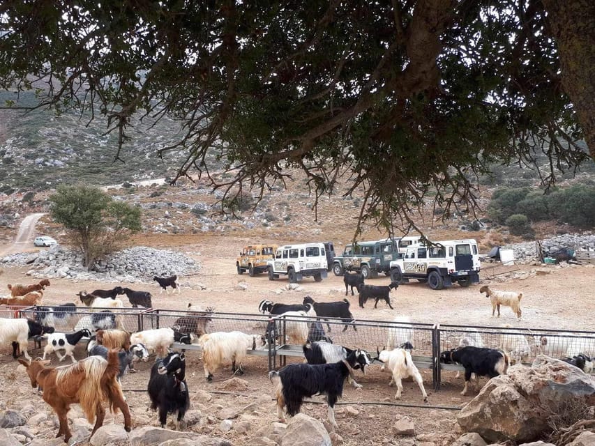 Crete: Lasithi Plateau Zeus Cave Guided Jeep Safari Tour - Off-road dirt-route photos to Kastamonitsa’s Roman aqueduct ruins