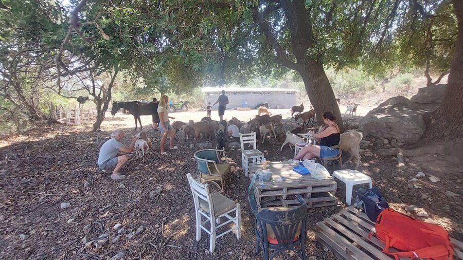CRETE :MALIA HERSSONISOS QUADS ECOTOUR ADVENTURE - HIGH PERF - Your 6-Hour Flow: Pickup, Off-Road Time, Villages, Lunch, and Photos