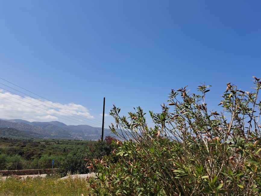 Crete: Malia, Potamos Beach, and Sissi Tuk Tuk Tour - Key highlights to look for