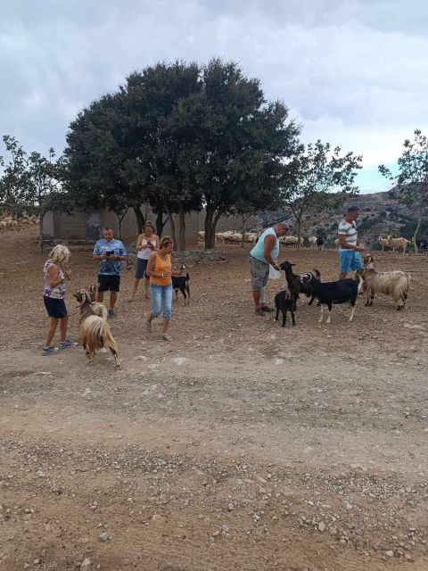 Crete: Milatos Cave Amazonas Zoo Park Jeep Safari Tour - Plaka Sea-Front Residence and Spinalonga Views