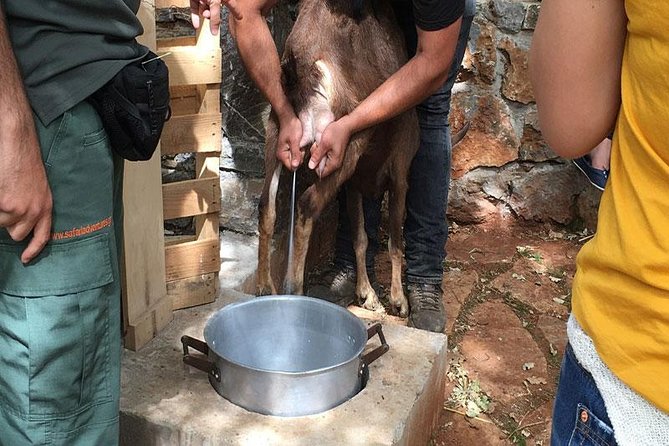 Crete Off-Road & Flavors Safari: Wine, Olive Oil & Mountain Life - Lunch at a Traditional Taverna: Simple, Filling, and Worth the Wait