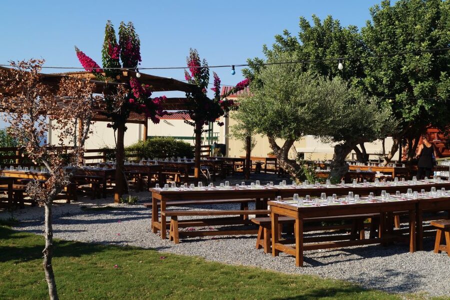 Crete: Olive Oil Factory Tour, Dinner & Traditional Dancing - Live Greek Music and Dancing: When It Feels Authentic, and When It’s Short