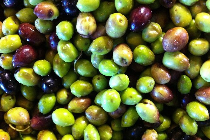 Crete: Olive Oil, Soap, Wine, Raki - Flavorful Culinary Journey - Lunch in Peza Village: The Meal That Makes It Feel Like Crete