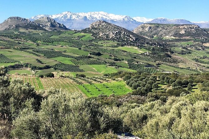 Crete: Olive Oil, Soap, Wine, Raki - Flavorful Culinary Journey - Getting Picked Up Near Heraklion (and Why Timing Matters)