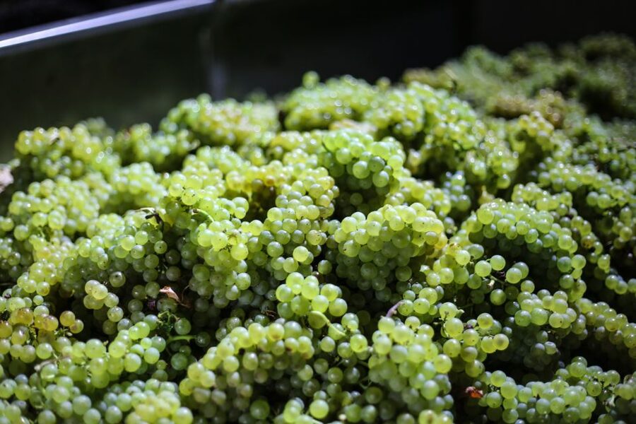 Crete: Olive, Wine, & Raki on a Flavorful Culinary Journey - Key points to know before you go