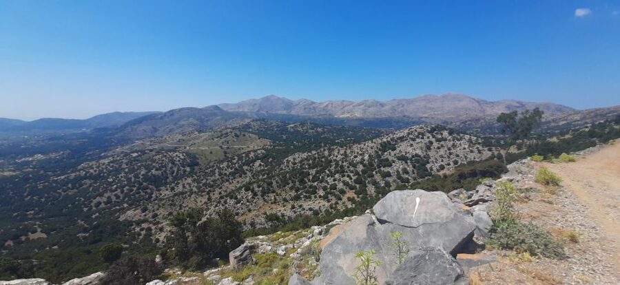 Crete: Olive, Wine, & Raki on a Flavorful Culinary Journey - What the 6.5 Hours Feels Like (Without Rushing You)