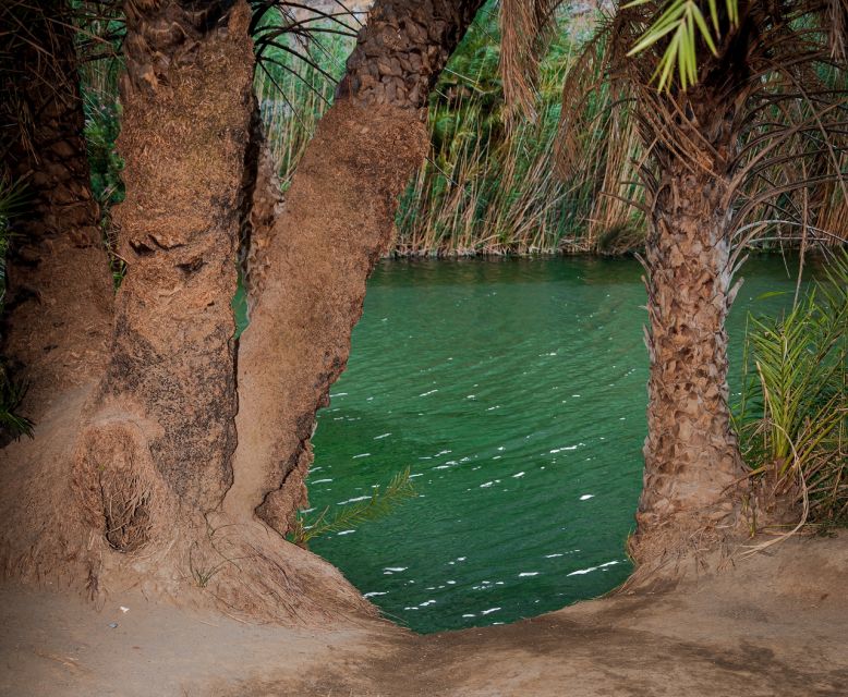 Crete: Preveli Tropical Beach and Palm Forest - Four hours at Preveli Beach: where the river meets the sea