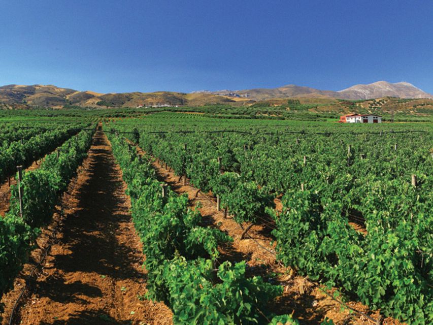 Crete Private Tour: The Secrets of Wine, Olives & Honey - Halepa Monastery and the Mountain View Break