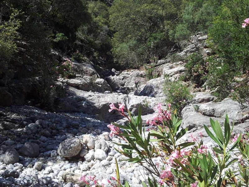 Crete: Richtis Waterfall Full-Day Tour with Olive Tasting - Who should book this Richtis Waterfall day trip