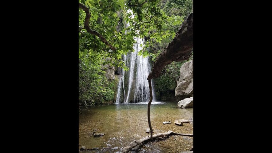 Crete: Richtis Waterfall Full-Day Tour with Olive Tasting - Richtis swimming time: cold water, quick adaptation, big payoff