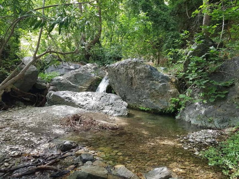 Crete: Richtis Waterfall Full-Day Tour with Olive Tasting - Lunch with wine and a cliffside view: local tavern energy