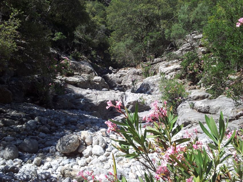 Crete: Richtis Waterfall Full-Day Tour with Olive Tasting - Price and logistics: is $115 good value for Crete?