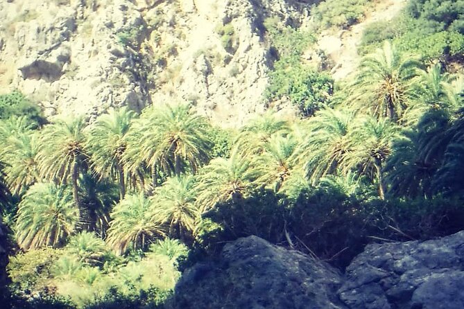 Crete: River Trekking at Preveli Beach - Reaching Preveli Beach: Water, Rocks, and Brief Swim Opportunities
