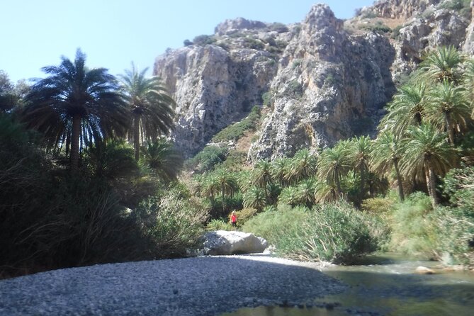 Crete: River Trekking at Preveli Beach - Safety Without Technical Gear: Helmets, Walking Sticks, and Calm Guidance