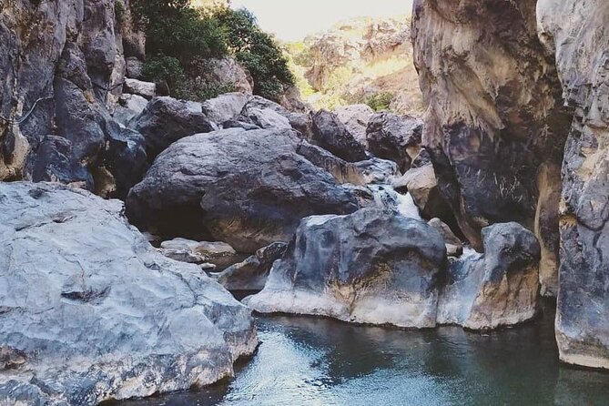 Crete: River Trekking at Preveli Beach - Who This Preveli River Trek Suits Best