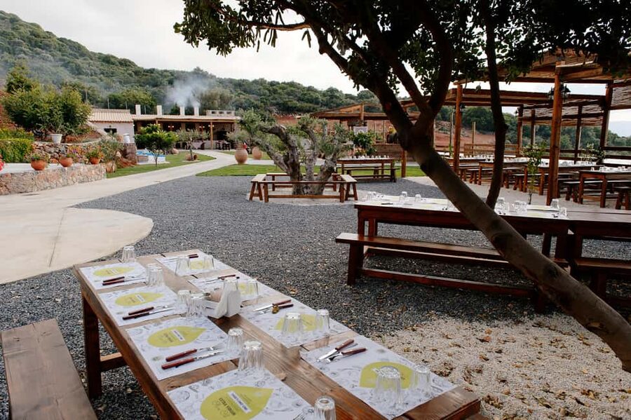 Crete: Road-trip to Lasithi, Zeus Cave & Olive Mill Farm - Timing, pace, and what to wear so the day stays comfortable