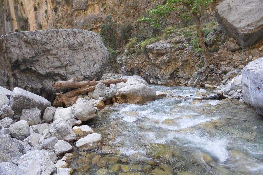 Crete: Samaria Gorge Hiking with transfer and expert Escort - Agia Roumeli at midday: tavern time and a sea swim with payoff