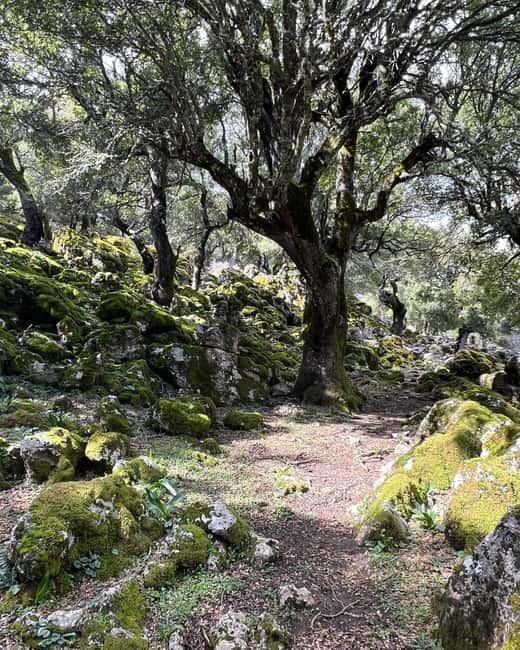 Crete: Sarakina Gorge, Forests, and South Coast Safari - Milatos or Myrtos beach time in the Libyan Sea: cool down and reset