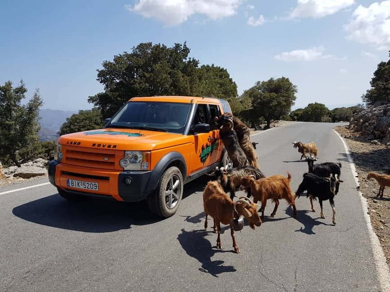 Crete: Sarakina Gorge, Forests, and South Coast Safari - The drive in an orange Land Rover Discovery (and why it matters)