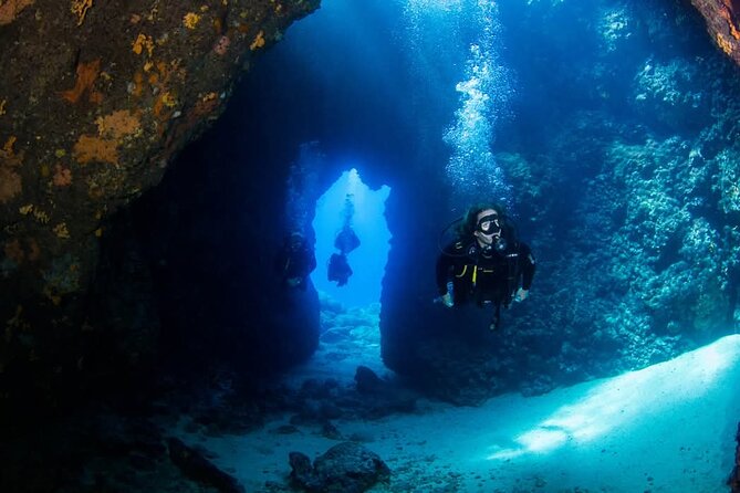 Crete: Scuba Diving for Certified Divers in Chania - Price and what you really get for $168.58