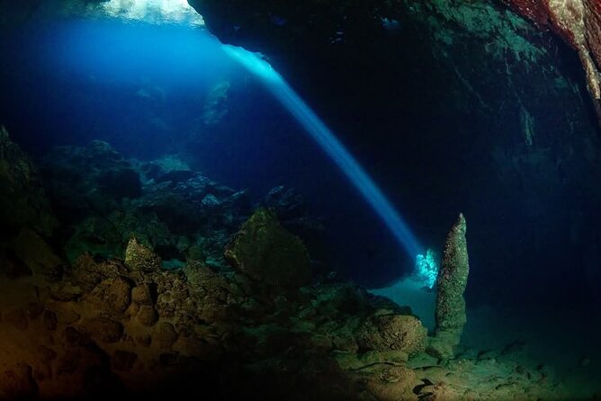 Crete: Scuba Diving for Certified Divers in Chania - Getting picked up in Chania and starting around 9:00