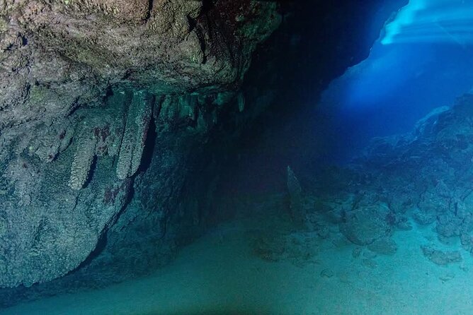 Crete: Scuba Diving for Certified Divers in Chania - Small group size means you’re not lost in the shuffle