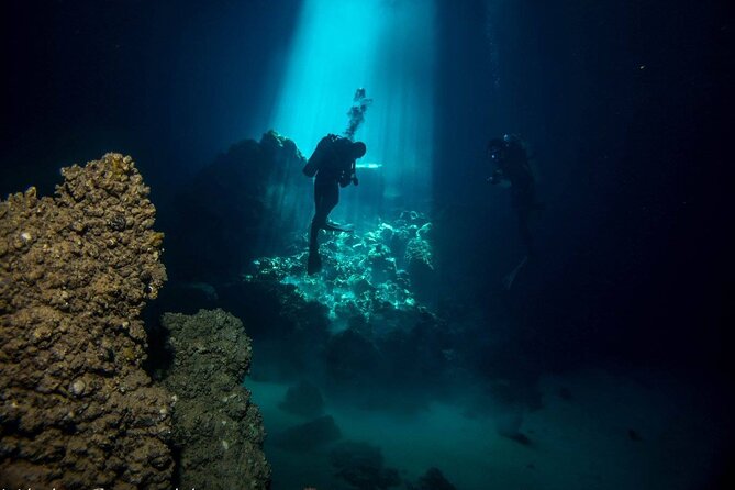 Crete: Scuba Diving for Certified Divers in Chania - Weather and site changes: why your plan can shift