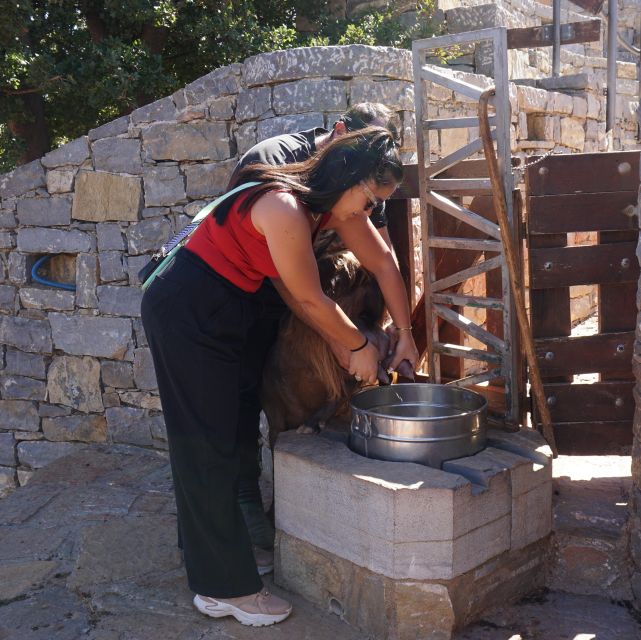 Crete: Shepherd’s Life & Psiloritis Mountain Tour with Meal - Price and value: what $124 includes (and why it’s not just sightseeing)