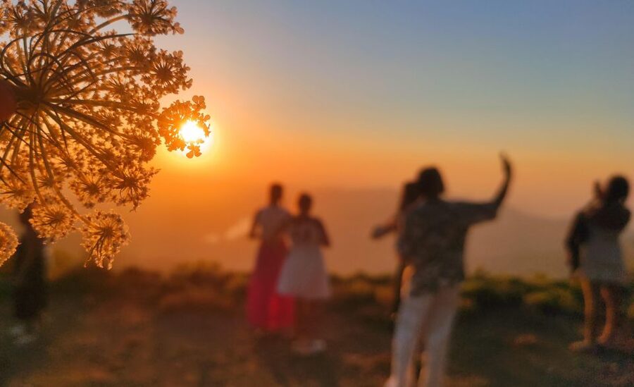 Crete: Sunset Safari - Malia dinner with wine and water: where the day settles